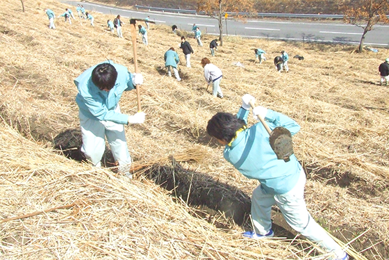 Fujifilm Manufacturing employees cutting grass in a recharge forest